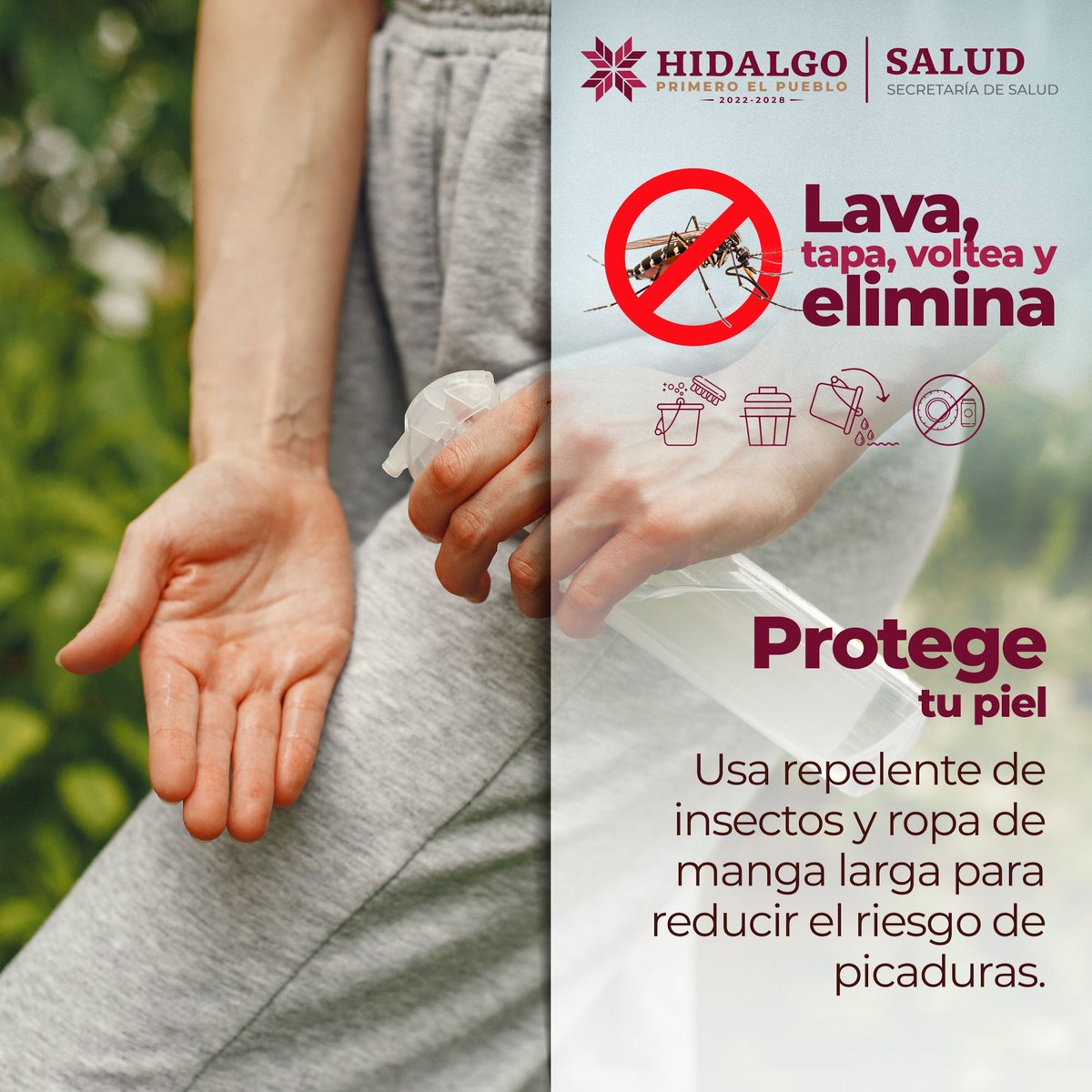 Salud_Hidalgo's tweet image. 🦟💪 Lava, tapa, voltea y elimina. Protege tu piel del #dengue usando repelente y ropa de manga larga. Prevenir es cuidar de ti y de los tuyos.

#PrimeroTuSalud #PrimeroElPueblo