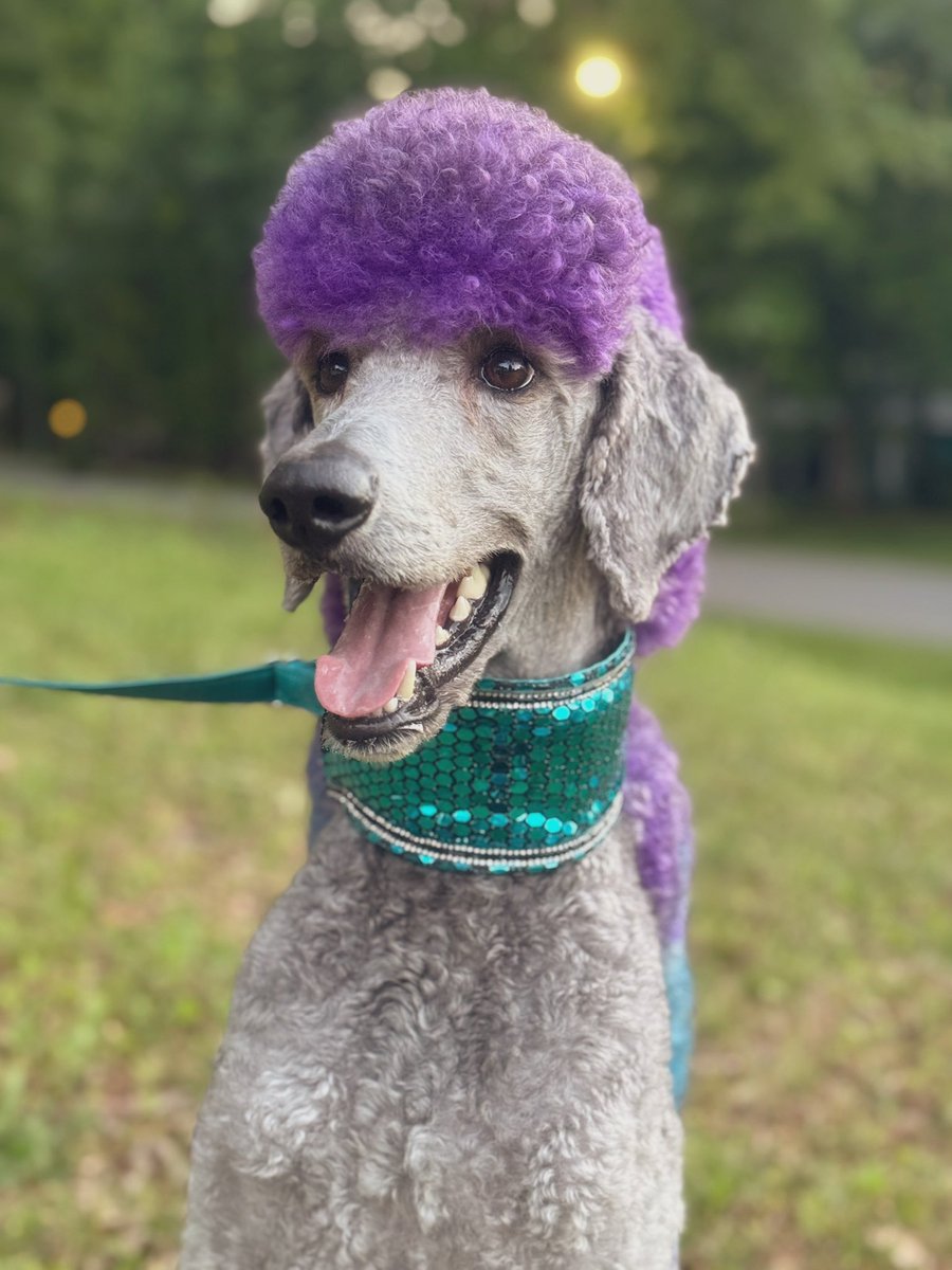 itsSIGNAL's tweet image. It’s my baby man’s birthday today 🥹🥹🥹 he’s a whole 3 years old. 3!!