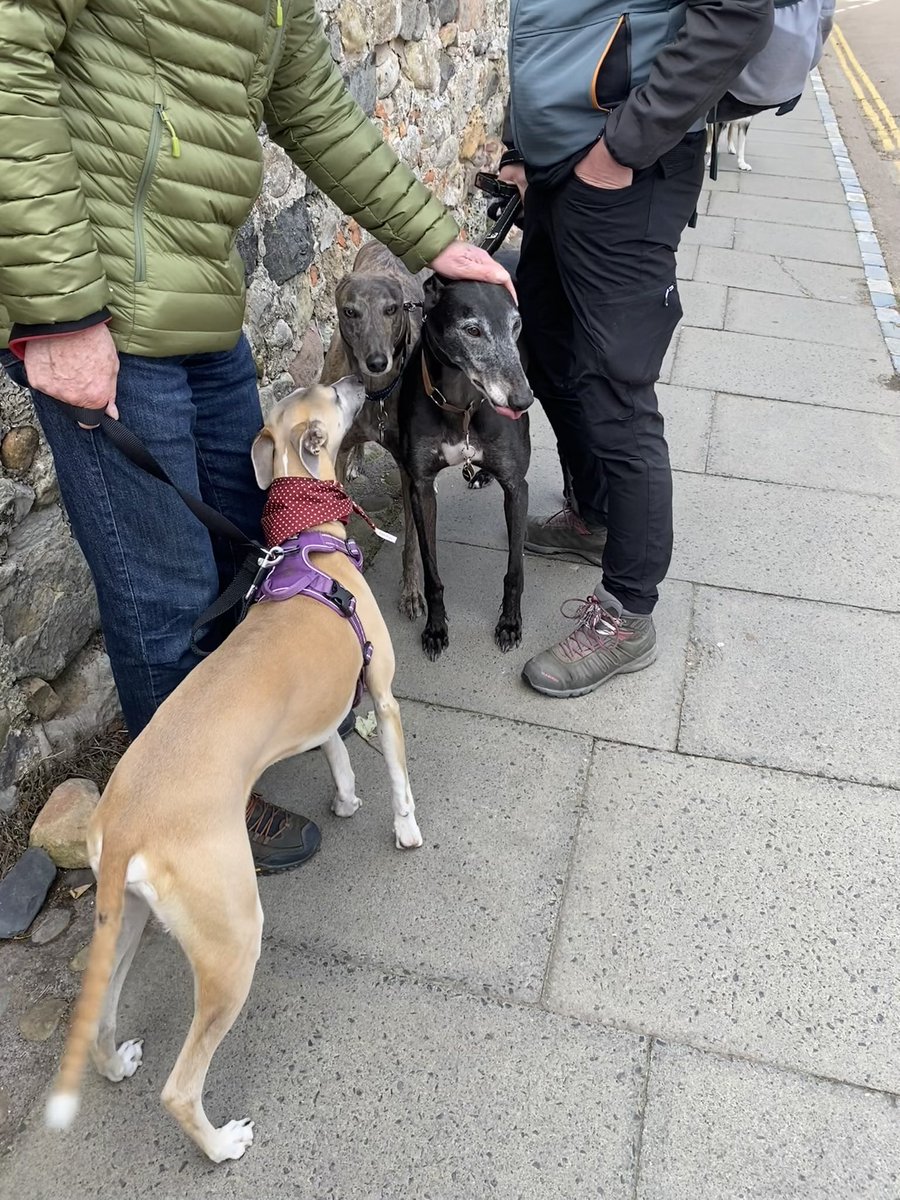 Kay Race tweet media