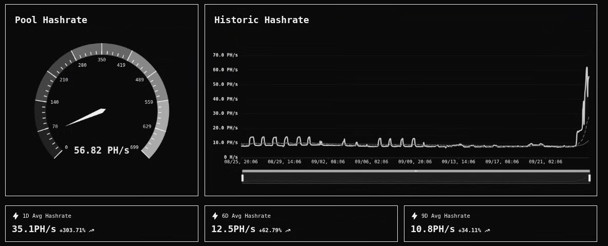 Block Zero tweet media