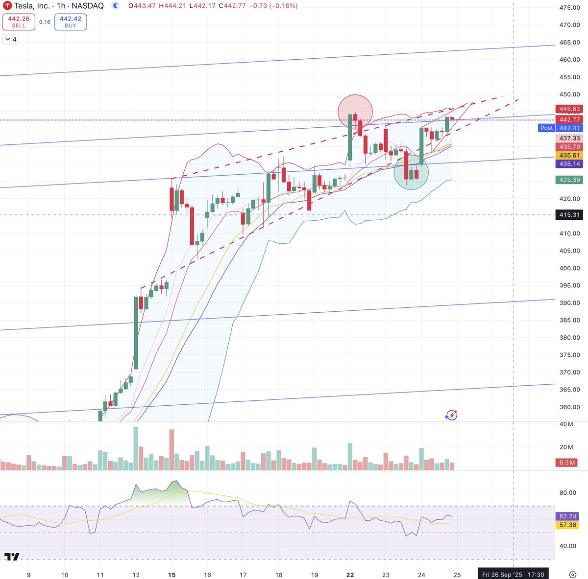 Directional Investor tweet media