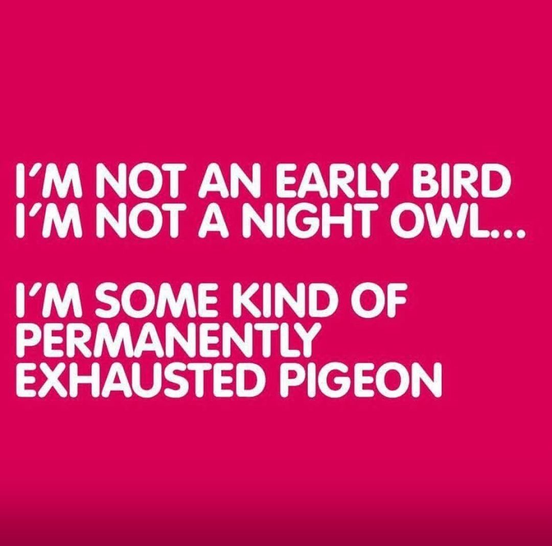 monkeyfun1001's tweet image. Sounds about right to me 🤪🥴😵‍💫🤯