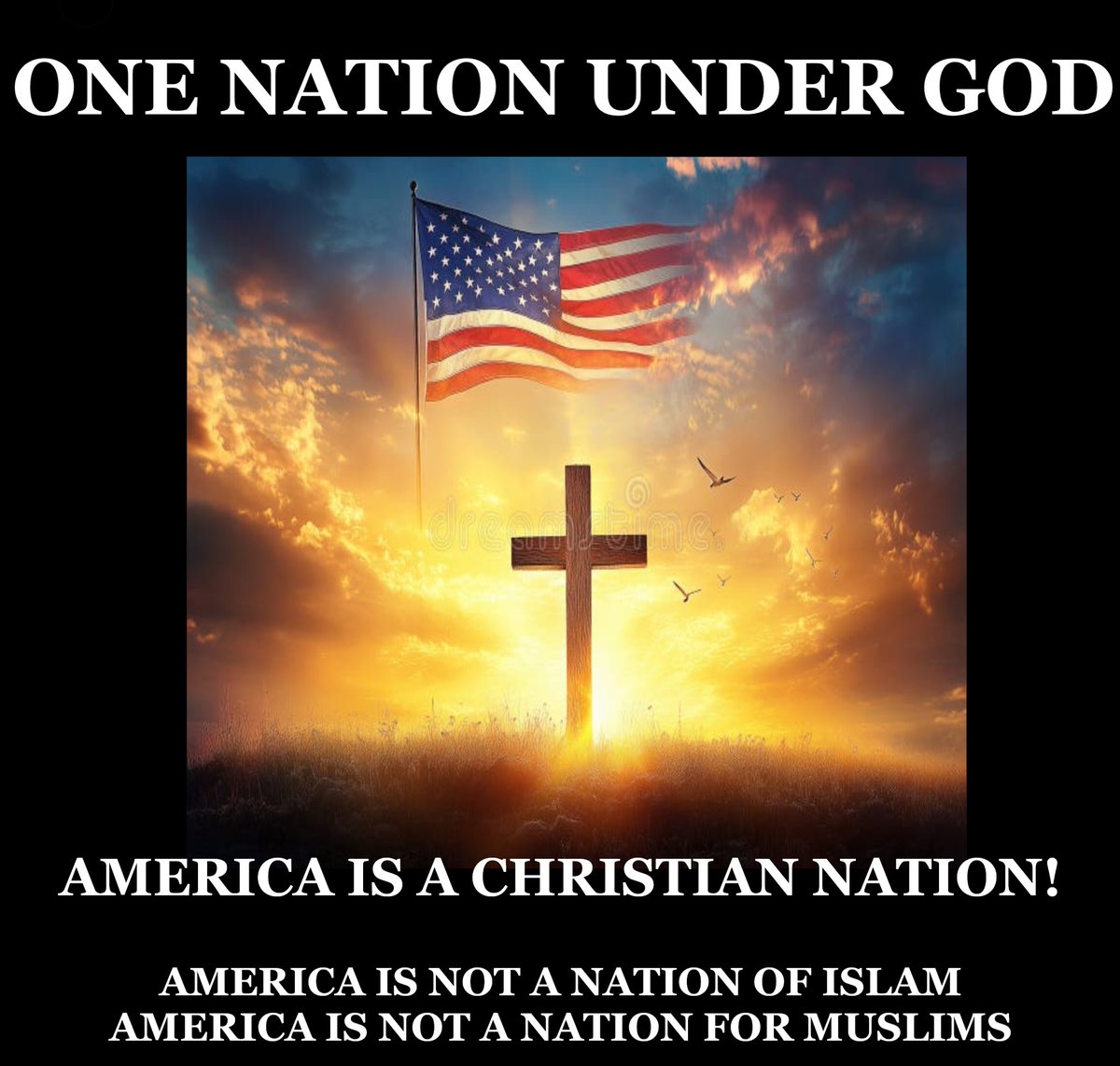 <a href="/LauraLoomer/">Laura Loomer</a> <a href="/RepFine/">Congressman Randy Fine</a>