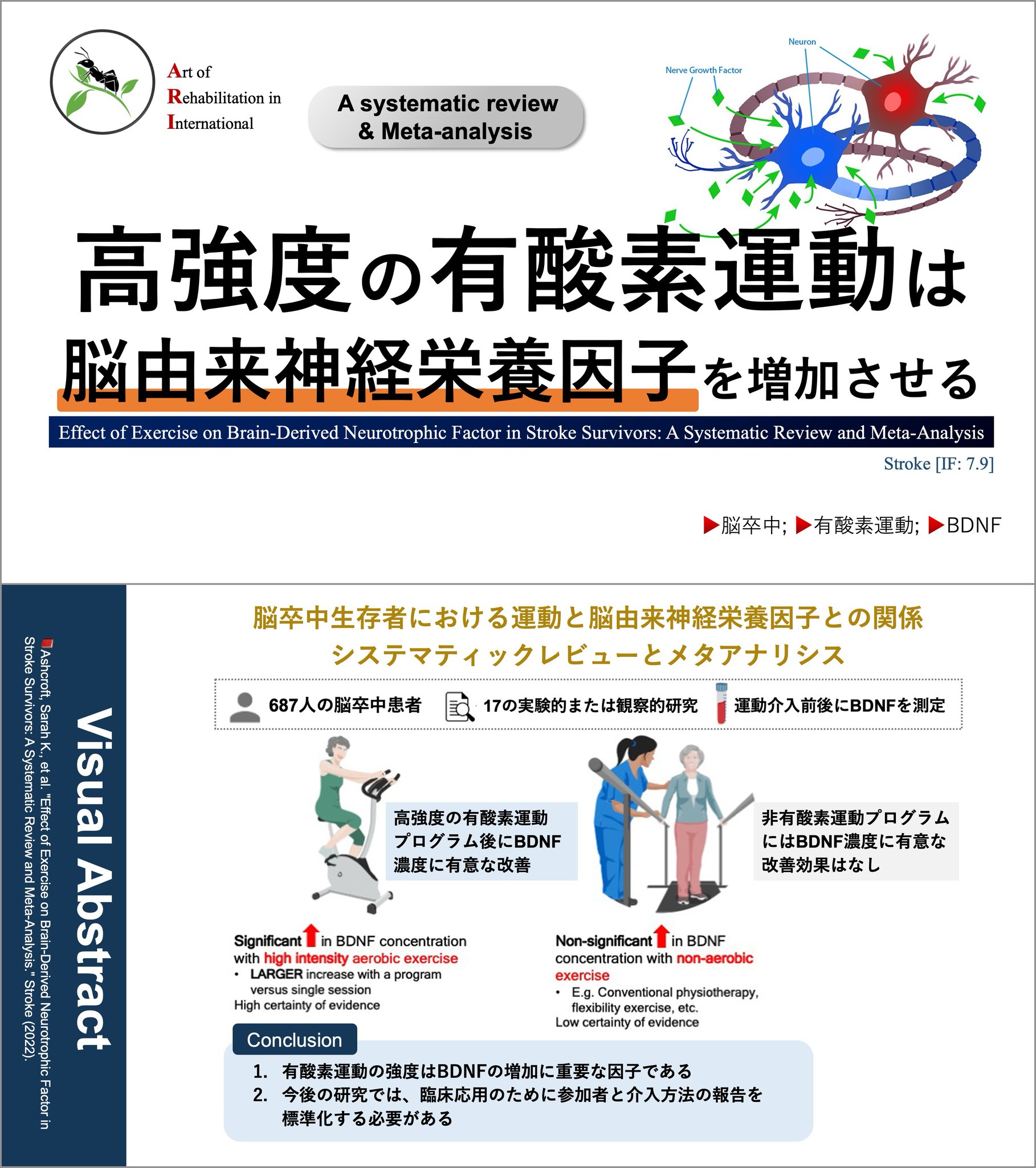 あなたの受胎能力を管理する 理学療法士_海津陽一 Ph.D. on X: 