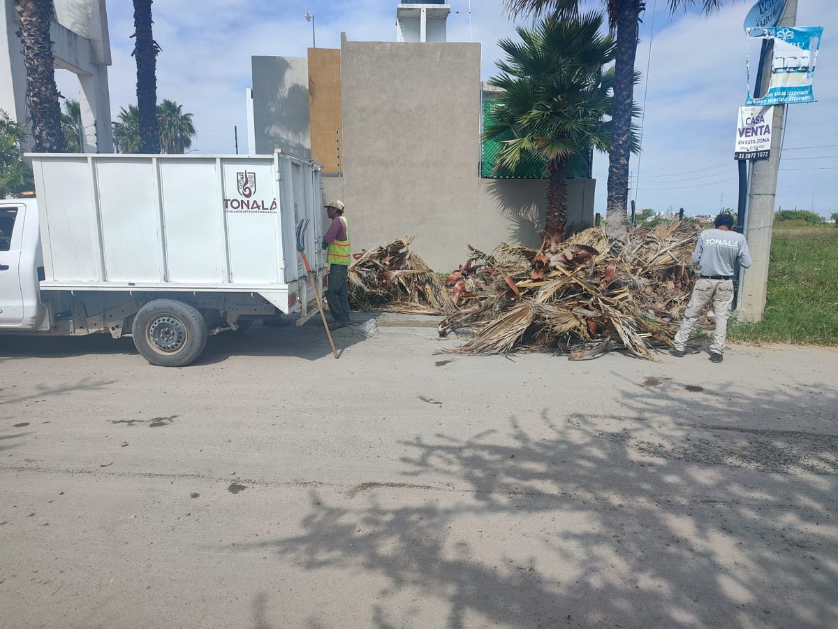 erickpartida's tweet image. Quiero hacer extensivo mi agradecimiento y apoyo al señor @SergioChavez_D y al @gobierno_tonala al departamento de mejoramiento Urbano y a Salvador Castellanos por el apoyo recibido de la recolección de maleza, llantas y escombros que recogimos los vecinos del Coto Tonala 🙏🏻