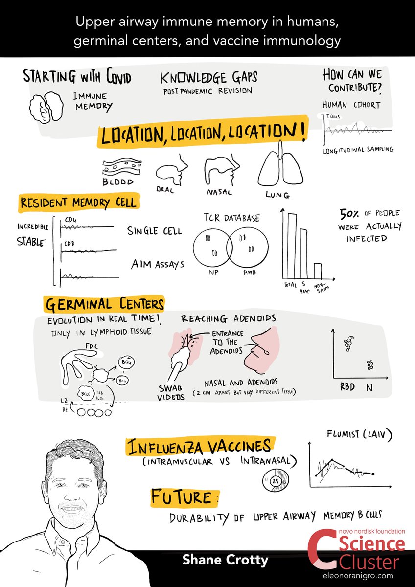 ScienceCluster's tweet image. 🗣️ Upper airway immune memory in humans, germinal centers, and vaccine immunology

A talk by @profshanecrotty from @ljiresearch at #NIVI2025Conference !

#AirImmunity #Vaccine
@novonordiskfond