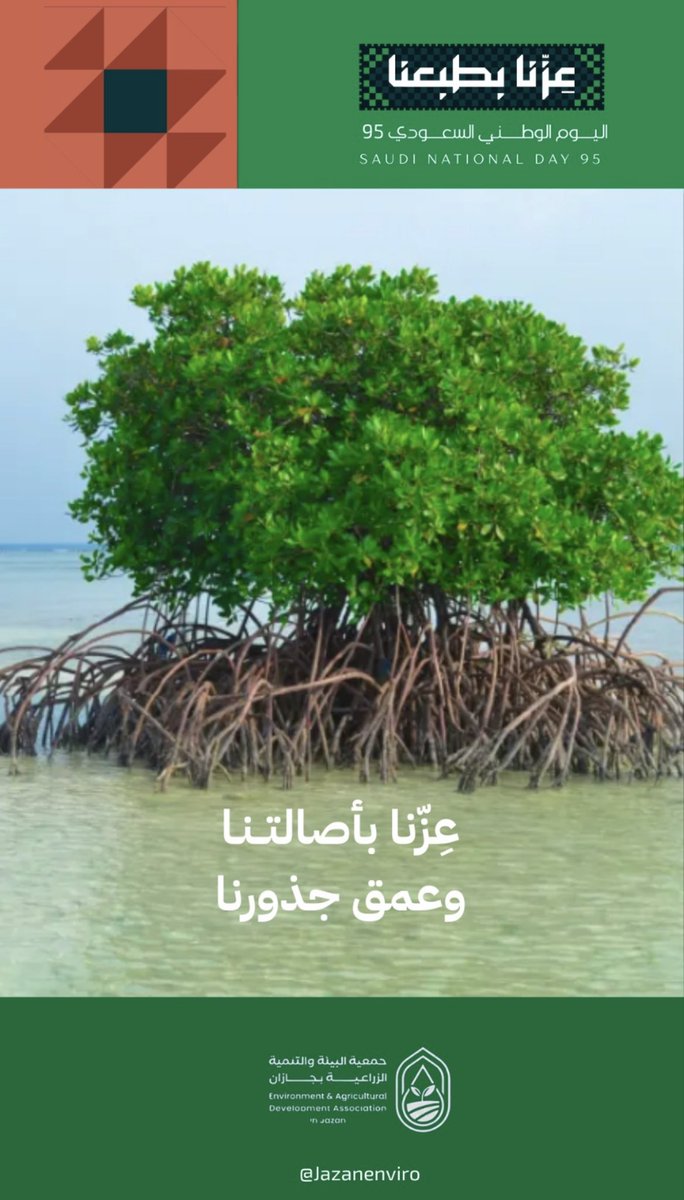 لأن #عزنا_بأصالتنا وعمق جذورنا...
نحافظ على بيئتنا ونحميها لعيالنا،،،
ونغرس جذور لمستقبلنا ونحقق أحلامنا… 
#اليوم_الوطني_السعودي_95
#الإعلام_البيئي_ضرورة_لاترف 
 #السعودية_الخضراء 
#جمعية_البيئة_والتنمية_الزراعية_بجازان 
#التطوع_البيئي #البيئة_السعودية
 #يحدث_الان