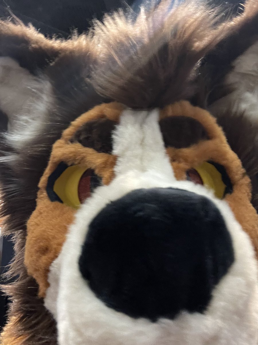 I forgor to post my AFC post here, but this con was so amazing. Made so many friends and memories here. Honestly one of the best cons I’ve ever been to.  I can’t wait to come back next year. Loved every moment of it and I miss everyone so bad 😔 &lt;3  #AFC2025