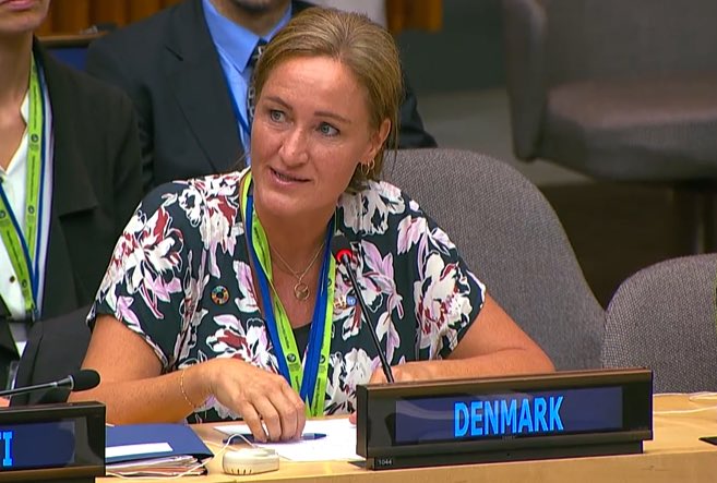 Today 🇩🇰 State Secretary for Development Policy participated in the Biennial Economic Summit as follow up to Pact for the Future and Sevilla Commitment 🇺🇳

DK focus on reform of International Financial Architecture, new guarantee instruments and support for fair taxation 🌏🌎🌍