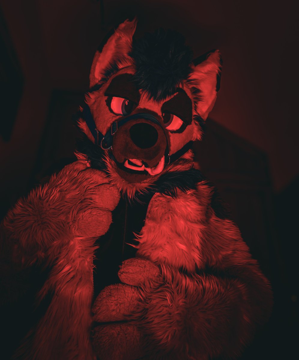 Shep Neutron tweet media