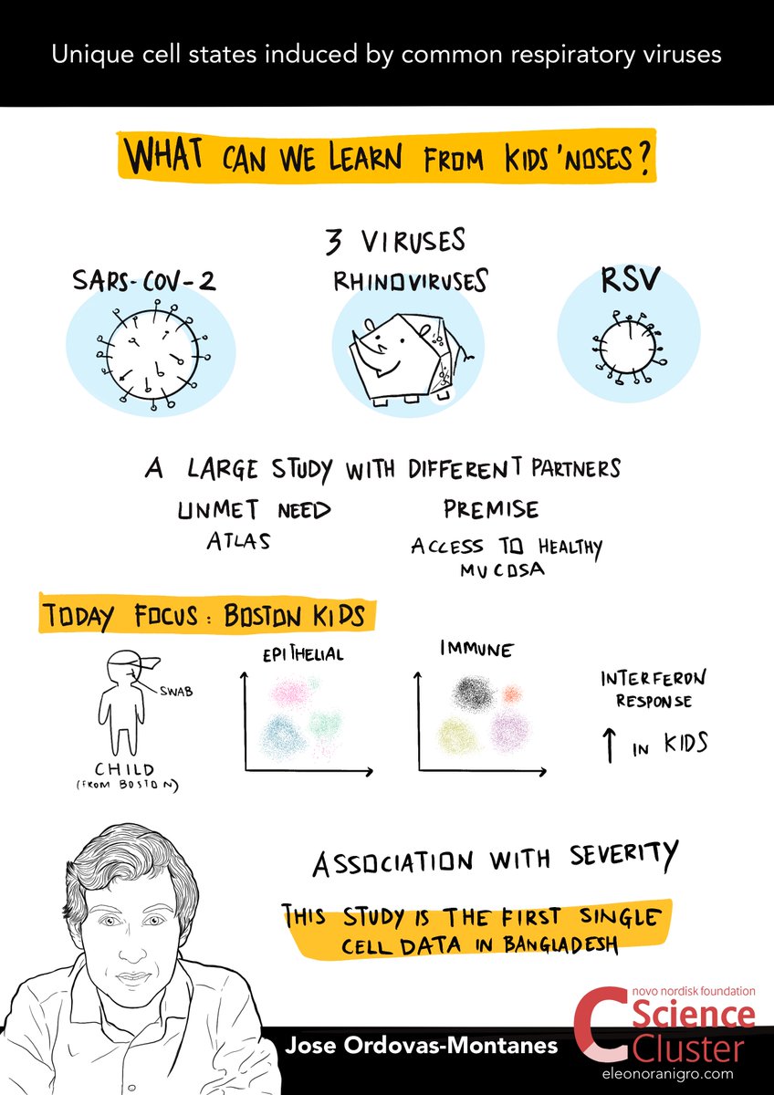 ScienceCluster's tweet image. This session is about #AirImmunity 🫁

@ordovas_phd from Boston Children&apos;s Hospital giving a #talk!

🗣️ Unique cell states induced by common respiratory #viruses

#AirImmunity #Vaccine
@novonordiskfond