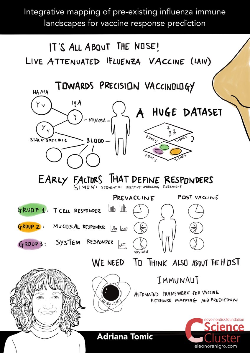 ScienceCluster's tweet image. 🫁#AirImmunity session at #NIVI2025Conference !

@TomicAdriana from @BU_Tweets is giving a talk 😎

🗣️ Integrative mapping of pre-existing #influenza immune landscapes for vaccine response prediction

#AirImmunity #Vaccine
@novonordiskfond
