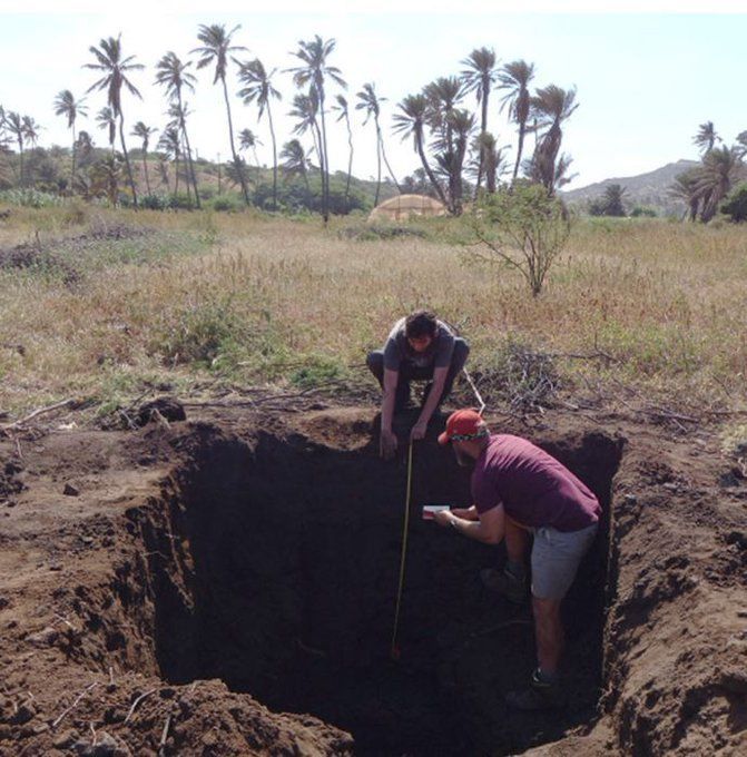 AntiquityJ's tweet image. What is a #ProjectGallery?
Short, online, free articles showcasing new archaeological results, fieldwork discoveries and innovative applications of technology, in particular from underrepresented regions!

Explore them all 🆓 cambridge.org/core/journals/…