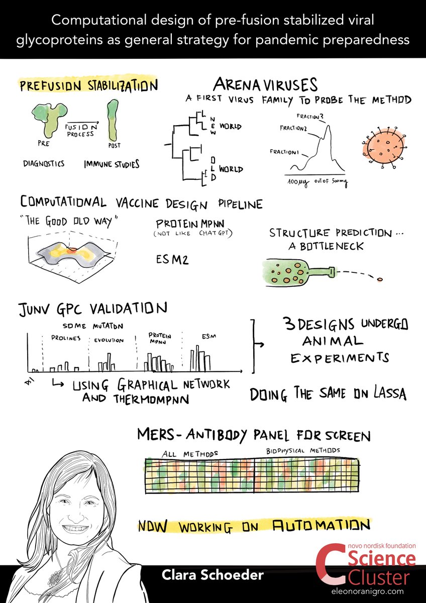 ScienceCluster's tweet image. 😎 Clara Schoeder from @StadtLeipzig at #NIVI2025Conference presenting the work:

🗣️ Computational design of pre-fusion stabilized viral #glycoproteins as general strategy for #pandemic preparedness

#AirImmunity #Vaccine
@novonordiskfond