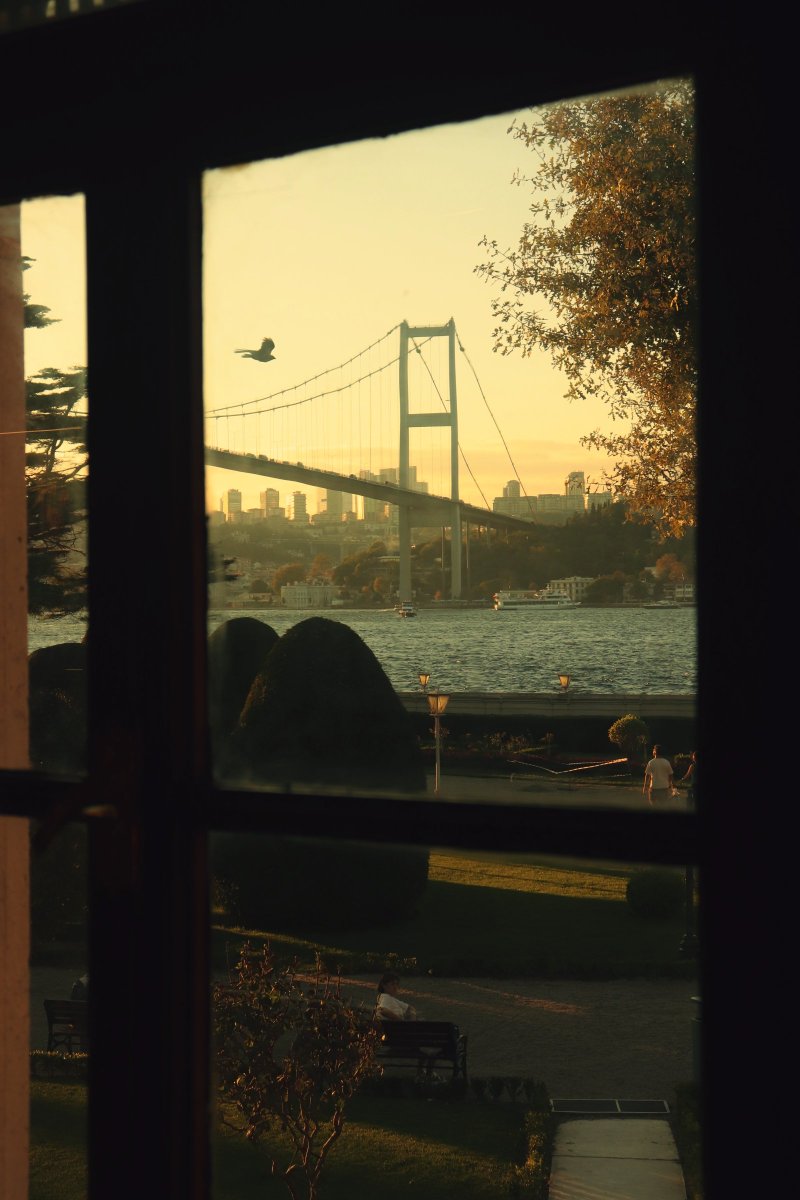 Gözlerim seni aradı