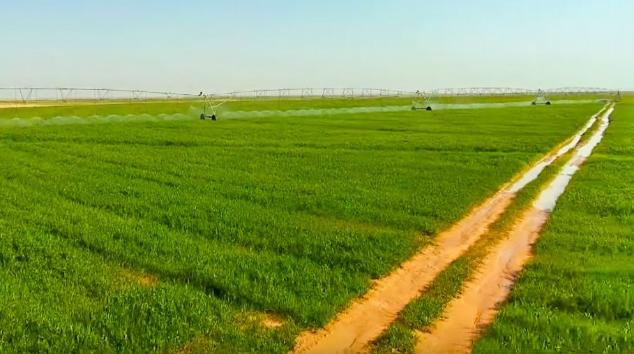 الحكم الشيعي الشروگي بالعراق حتى الصحراء صارت خضراء 
#العراق #كربلاء #صحراء_كربلاء #الاهلي_بيراميدز