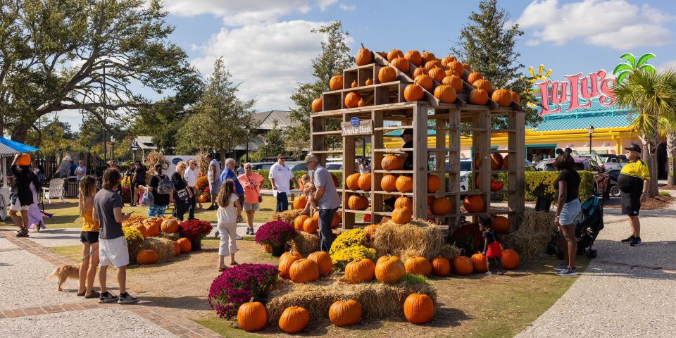 I95ExitGuide's tweet image. Discover Myrtle Beach’s Secret Season Filled with Fall Festivals, Flavors and Family Fun

Fall in Myrtle Beach comes alive with charming festivals, lively concerts and community celebrations that highlight the best of the...
is.gd/RVaP0X
