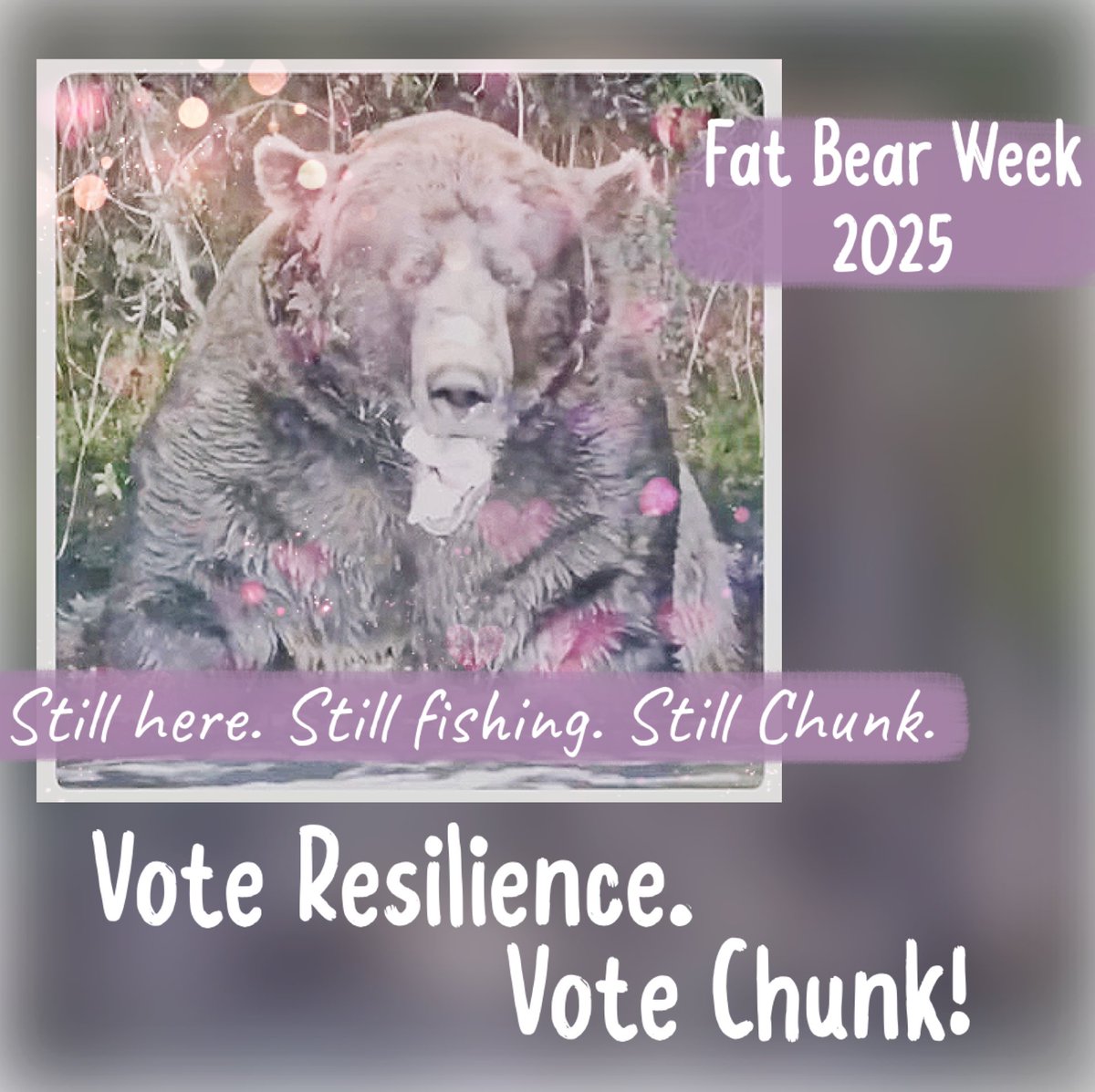 AnnRosenstein's tweet photo. Remember to vote for today’s #FatBearWeek contenders too. 🐻 ❤️ 🍣
https://t.co/5yq1RivgPC
#FatBearWeek2025 #Resilience
#TeamChunk
@ KatmaiNPS @exploreorg https://t.co/ikC2TLG6RD