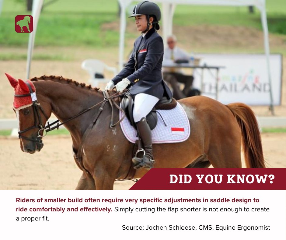 Did you know that riders of smaller build often require very specific adjustments in saddle design to ride comfortably and effectively? 

 Jochen Schleese talks all about how to choose the best saddle fit for riders with a shorter stature on our website!

horsejournals.com/how/how-choose…