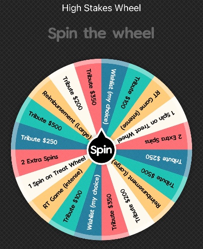 I just received Spin Fee - High Stakes from davecashpig via Throne. Thank you! throne.com/hisbigfeet #Wishlist #Throne