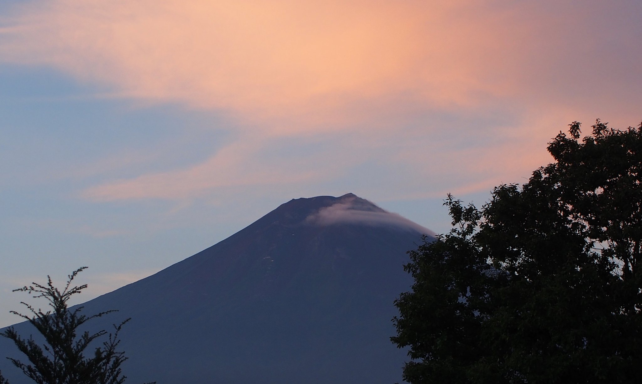 富士山⁇譲ります 富士山を望む広大な土地を売ります‼️ (misapoo) 富士の土地販売