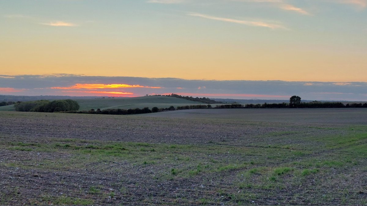 Alasdair Gordon Esq. tweet media