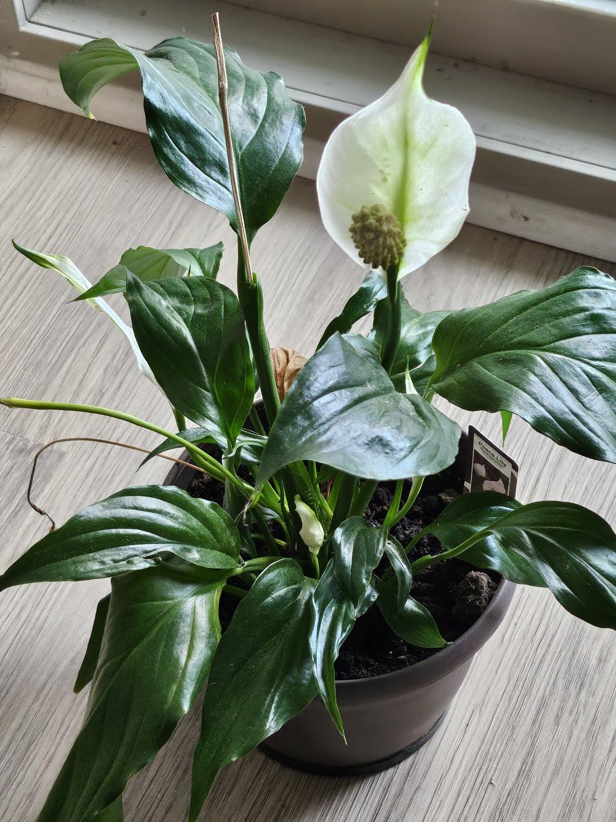 "Every small step forward is progress worth celebrating. Your journey doesn't have to be perfect—it just has to be yours."