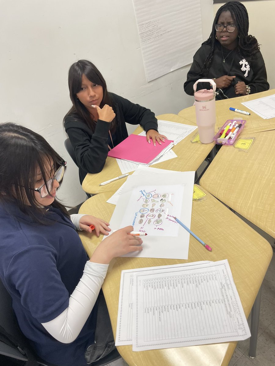 Mrs JLopez tweet media