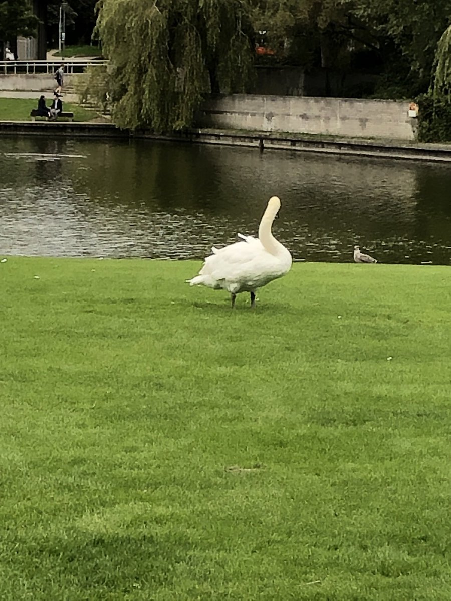 On my way to attend the « 2030 and beyond: The future of the Sustainable Development Goals » but saying hello to our lovely friends on campus