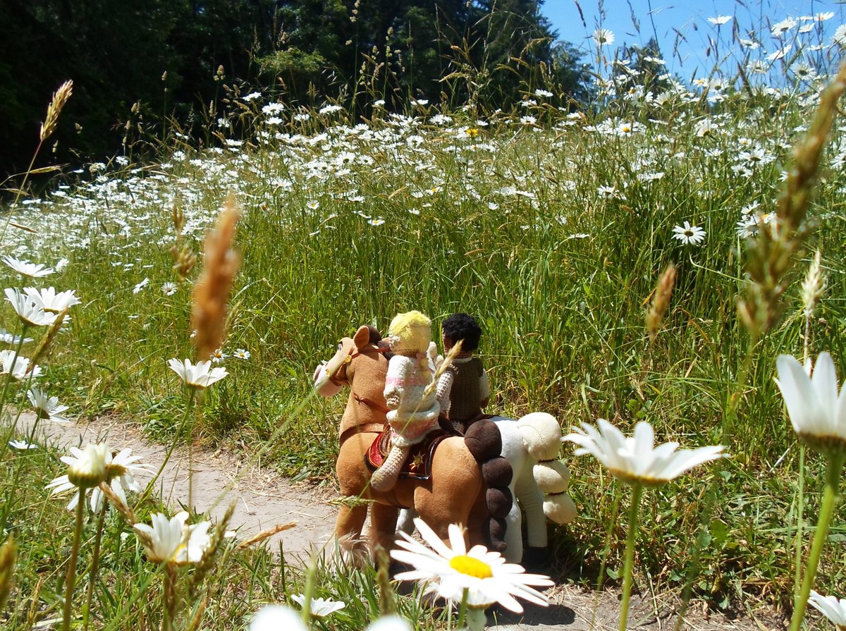 Cicero &amp; Elizabeth continue their ride <a href="/RedsKnitDolls/">RedsKnitDolls</a> as they enter the midst of the amazing field of wild daisies. Cicero's description of it fits both Elizabeth &amp; the field. I LOVE the place. It's so beautiful &amp; happy, so the perfect spot for what the plot has in store
#TURNamc