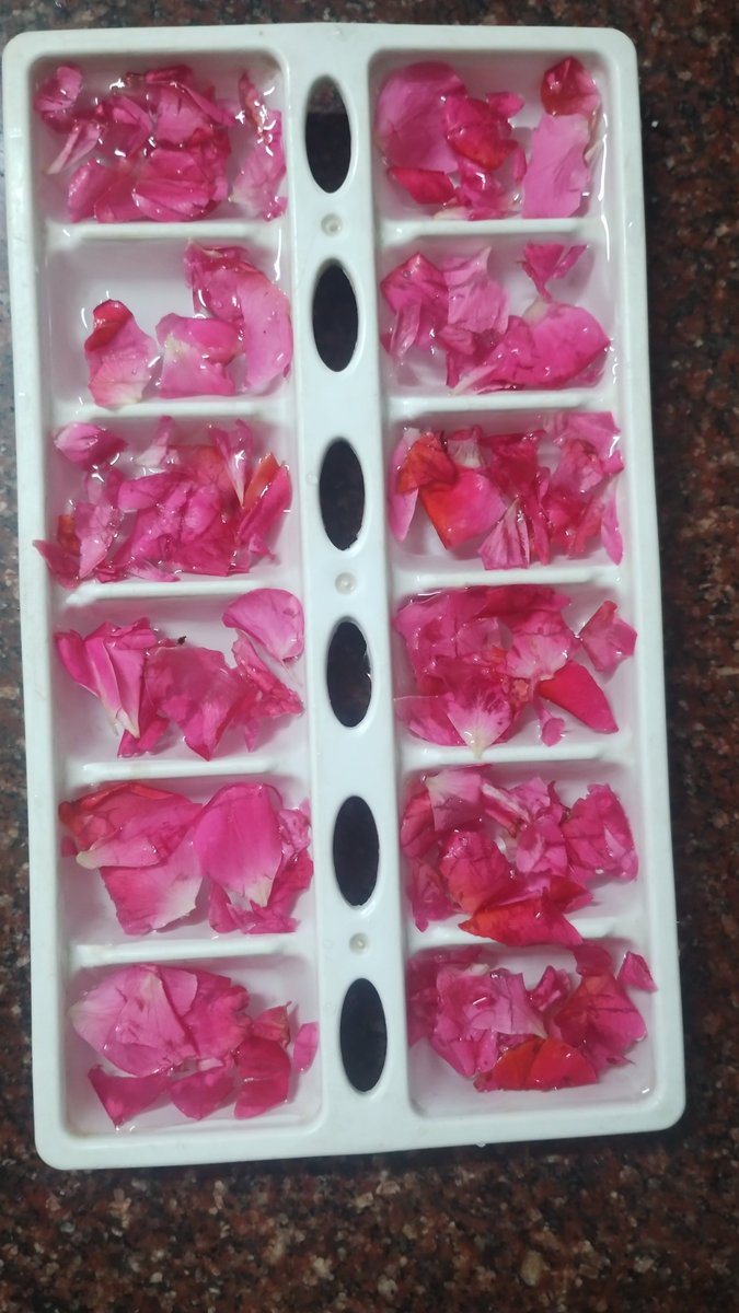 beautydiaries_'s tweet image. 🌷🫧🧊 #beauty #icecubes