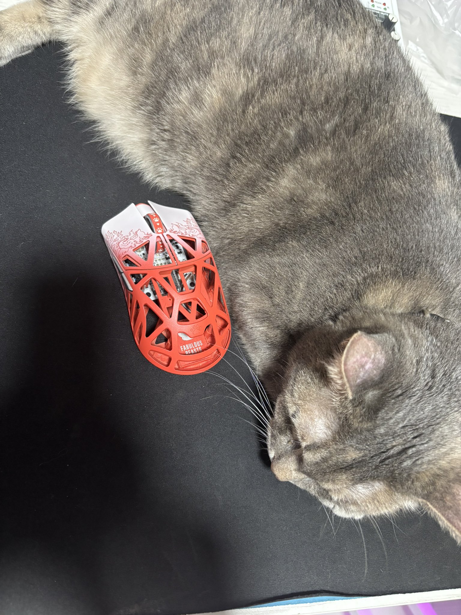 ⭐️くるみです 🤍 . . . 今期PVのoff少し 年が変わる事に末っ子からお姉さんに