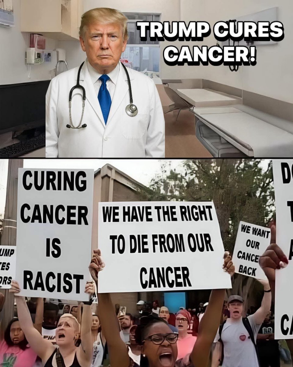 Would the democrats do this?