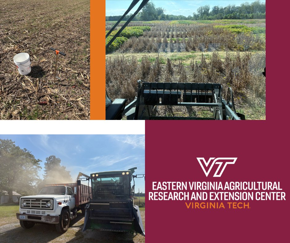 Fall activities are picking up at the center this week with soybean harvest and soil sampling.