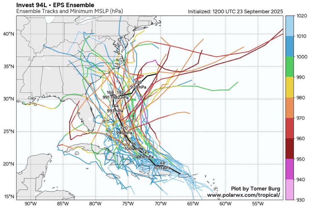 sorry I didn’t text you back this is what the inside of my brain looks like