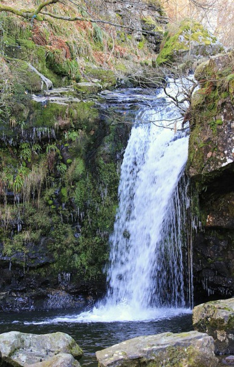NGstrollers's tweet image. This Sunday at 9:30 the group will be meeting at the Campsie memorial hall Lennoxtown (G667HA, FREE parking). We will be taking in the beautiful shoenstatt and the Campsie fells. 
Everyone is welcome to join us (approx 4.5 miles walk, all flat)  FREE refreshments afterwards.