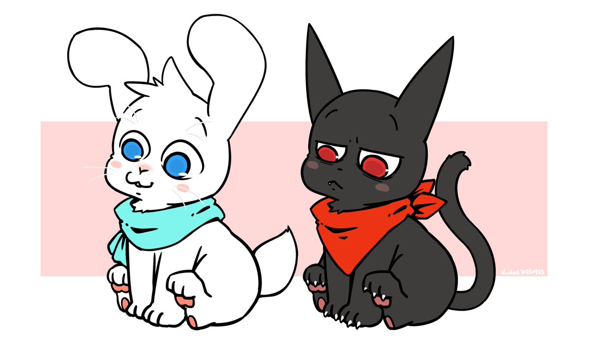 My White Rabbit and His Black Cat 🐇🐈‍⬛