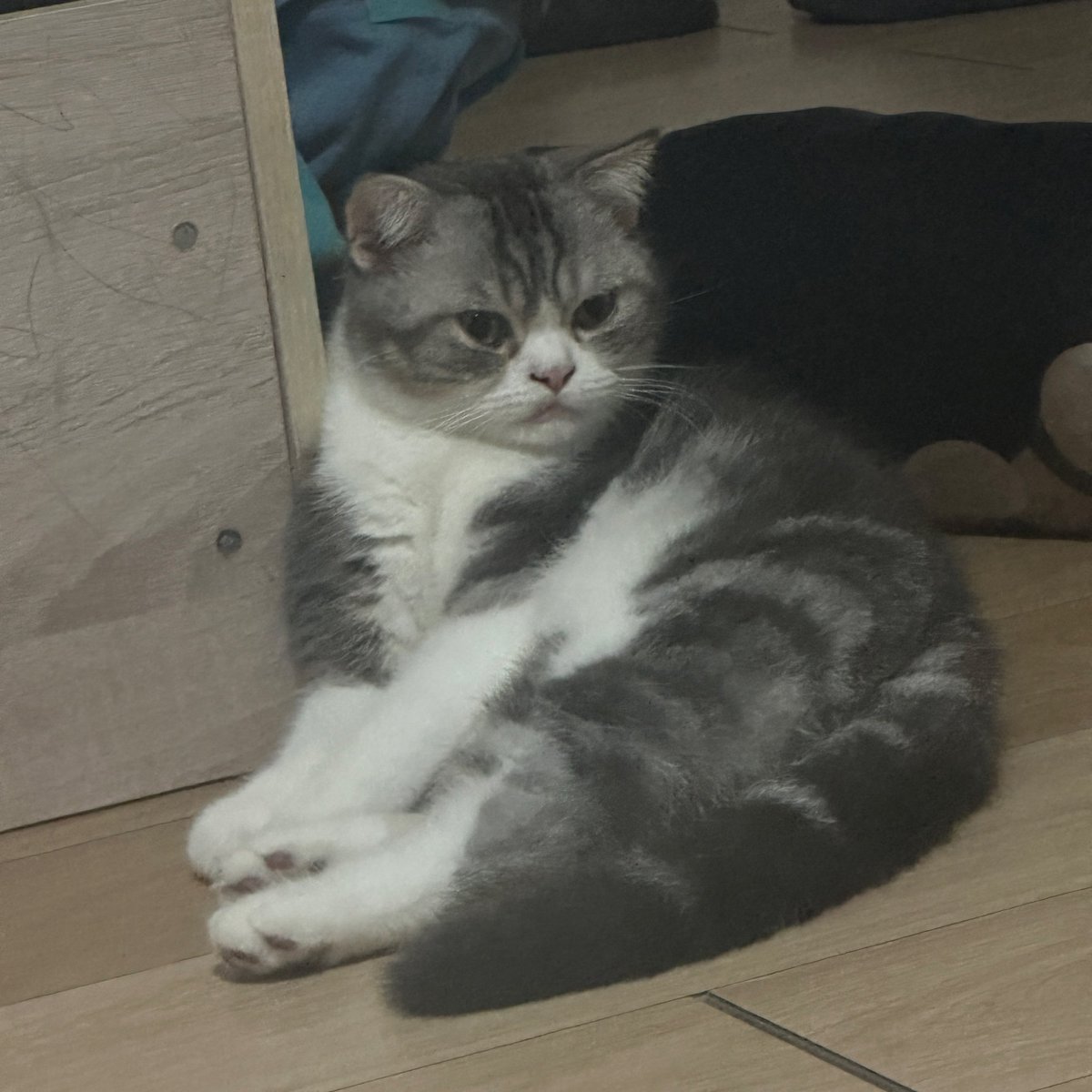 cuenst's tweet image. 