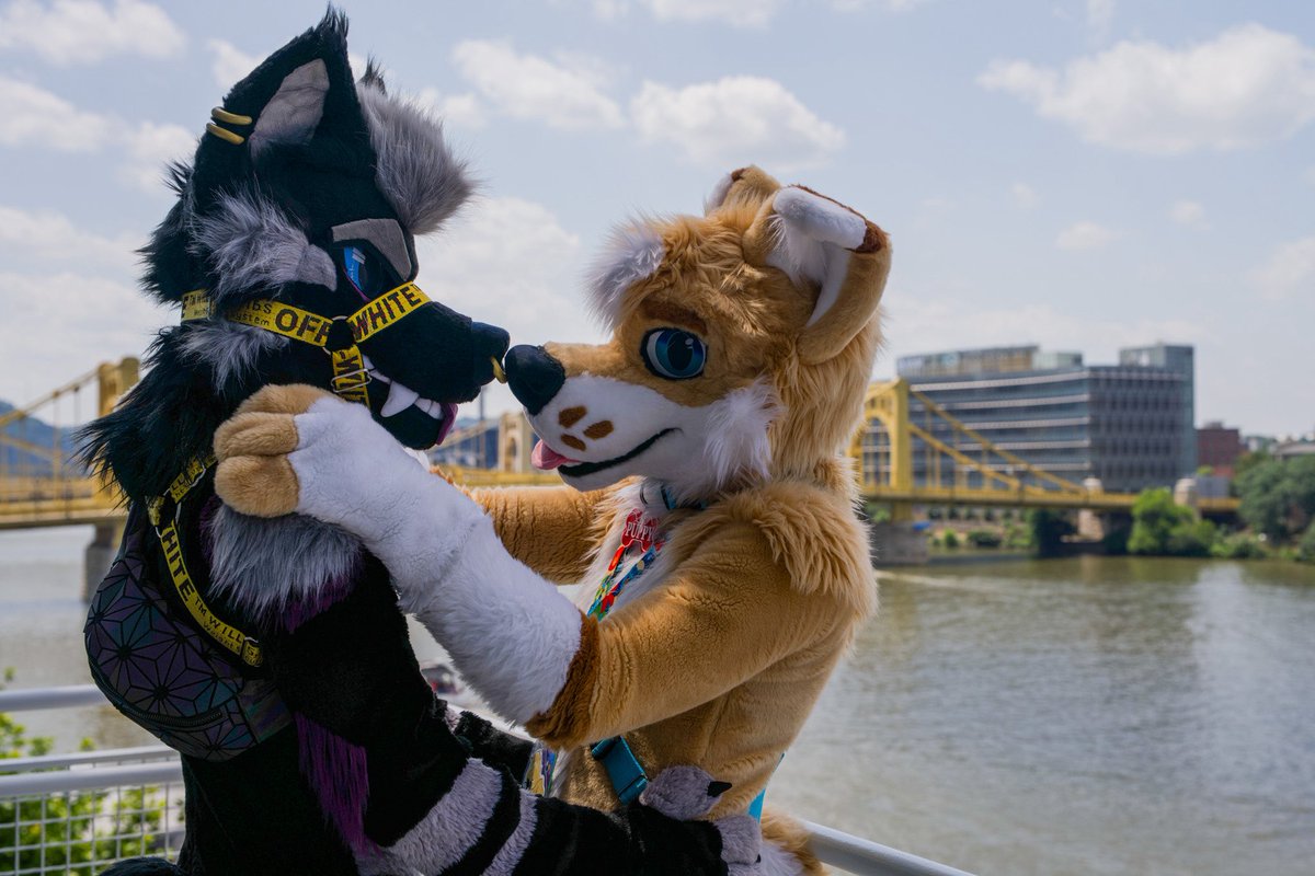 ✨Speakeasy✨🔜LVFC tweet media