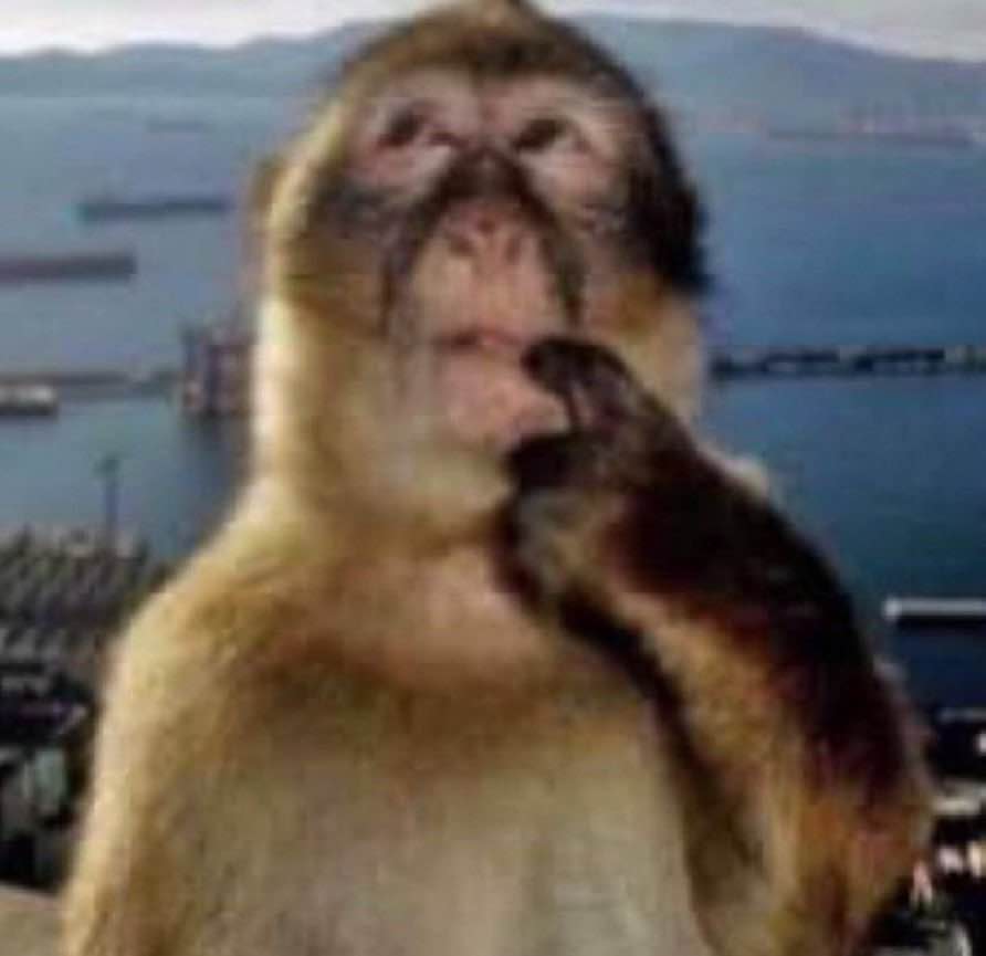 RWposting's tweet image. ill post something for my birthday in a week trust