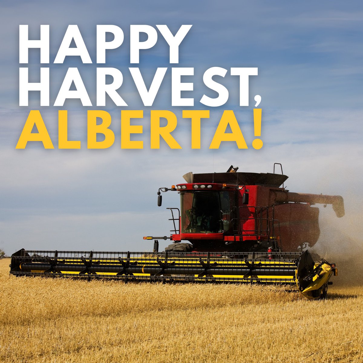 Happy harvest 🌾

Alberta’s farmers are working long hours to get the crop off so they can feed our communities and the world. 

Whether you’re in the combine, driving the grain truck, delivering meals to the field, or running to town for parts, thank you for all you do!