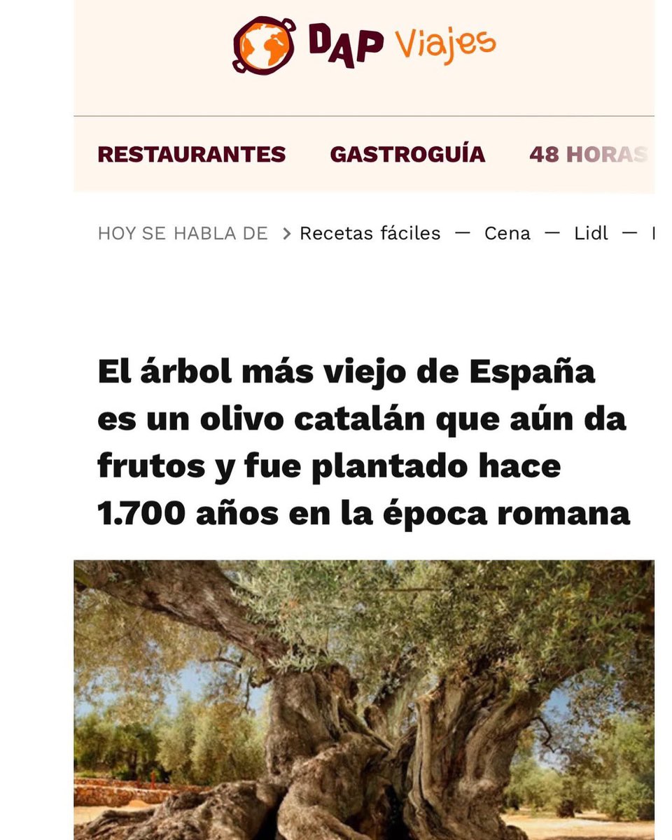 Cooooom?!!! CATALÁN?!!!

No pot ser.