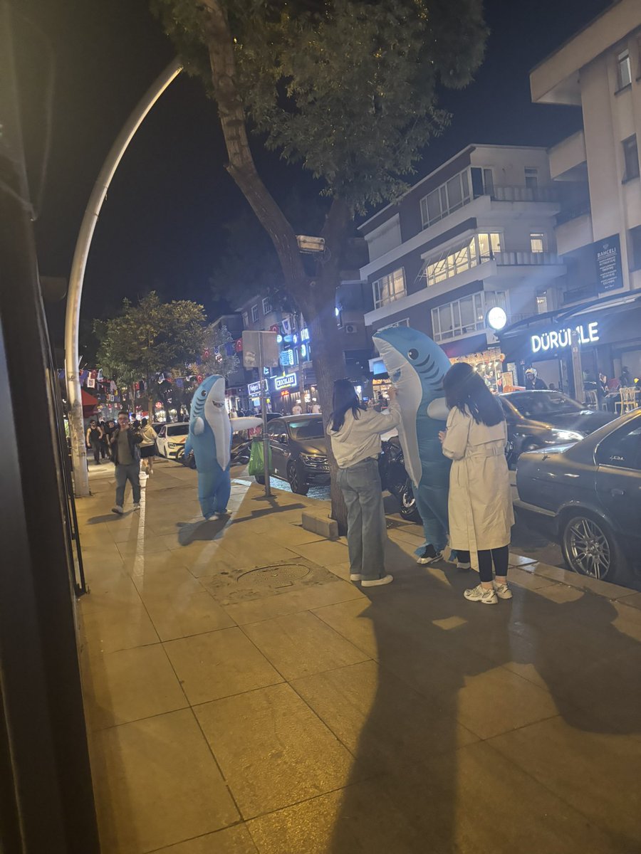 bahcelide kopekbaligi var gelen gelsin