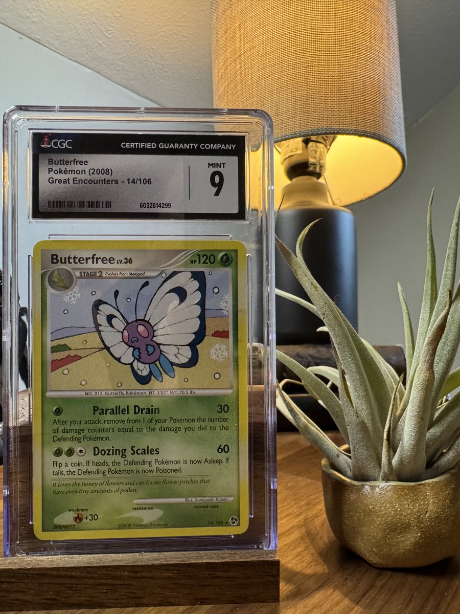 cybermewtype's tweet photo. Happy Wednesday! Little mid week giveaway for yall

This CGC 9 Butterfree from Great Encounters can be yours!

All you have to do is:

✅ Follow @therealpokemart 
🔁 Retweet 
♥️ Like the post
🦋 Reply below with your favorite bug Pokemon card

Winner will be drawn Friday Oct 3rd https://t.co/S7kP5INsv1