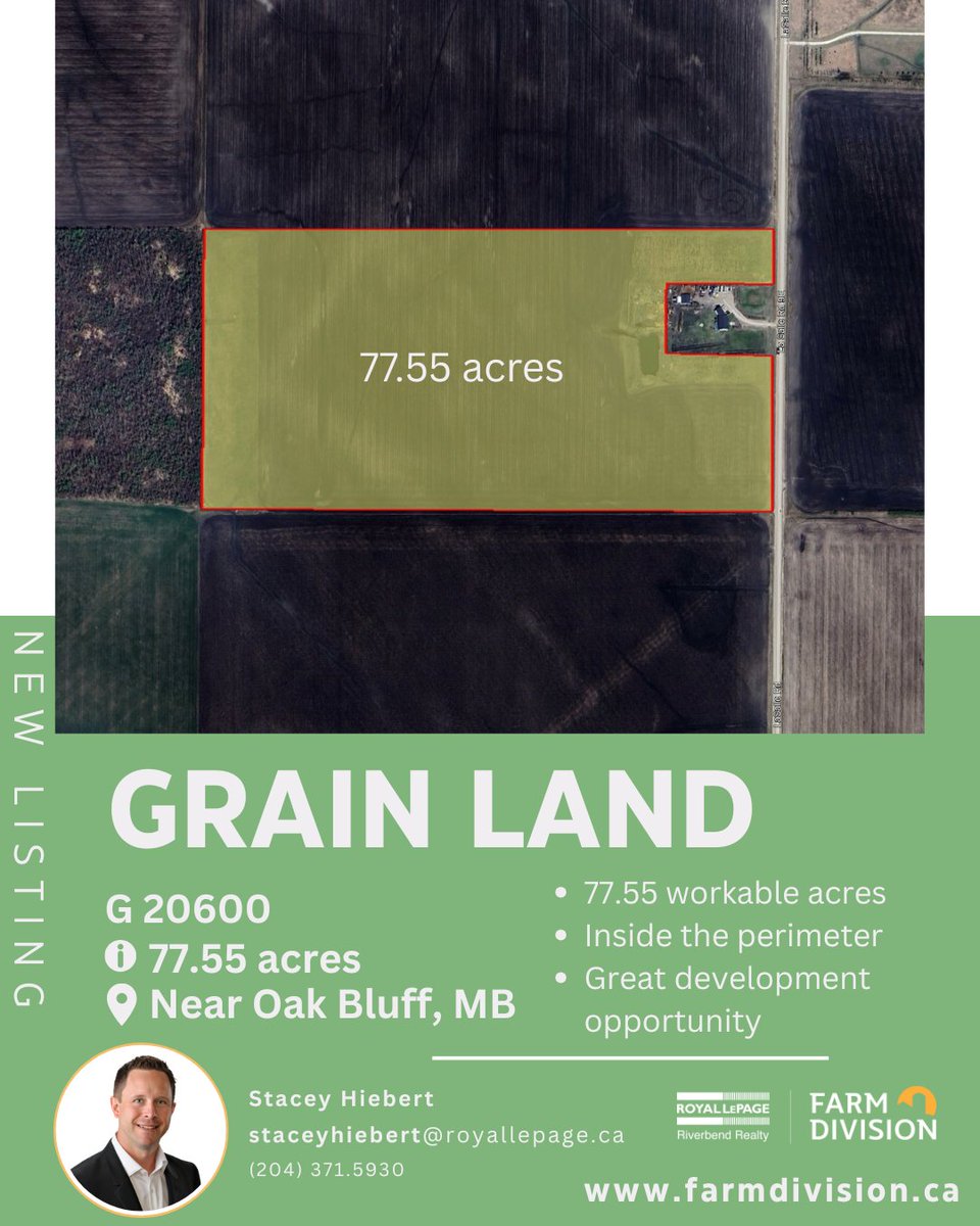 NEW Grain listing near Oak Bluff, MB #wesellfarms #yourfarmteam #grainland …lepageriverbendrealtyfarmdivision.com/listings/20600…