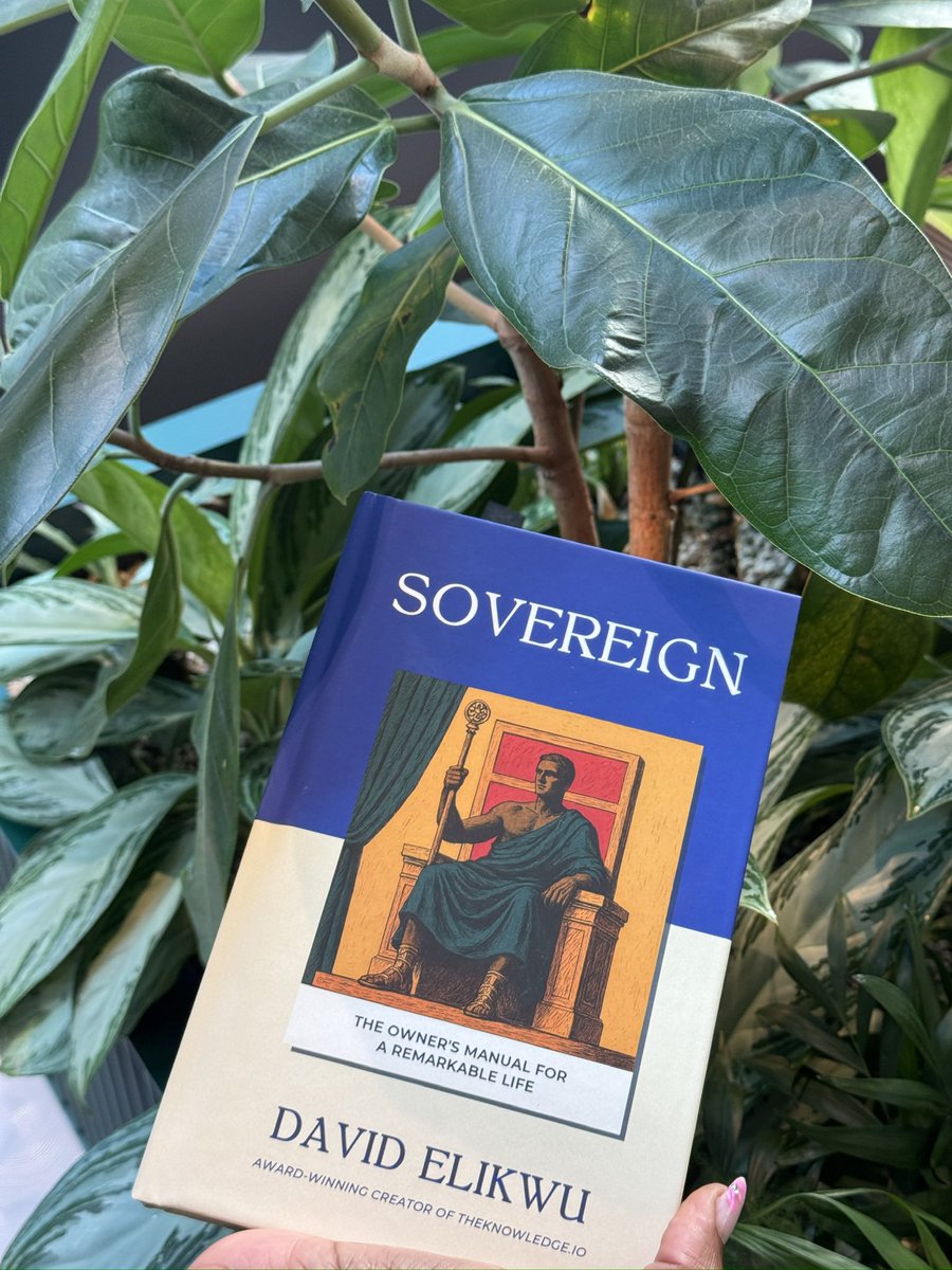 David Elikwu FRSA ⚔️ tweet media