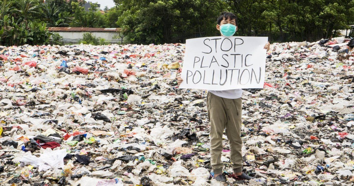 litterscorecard tweet picture