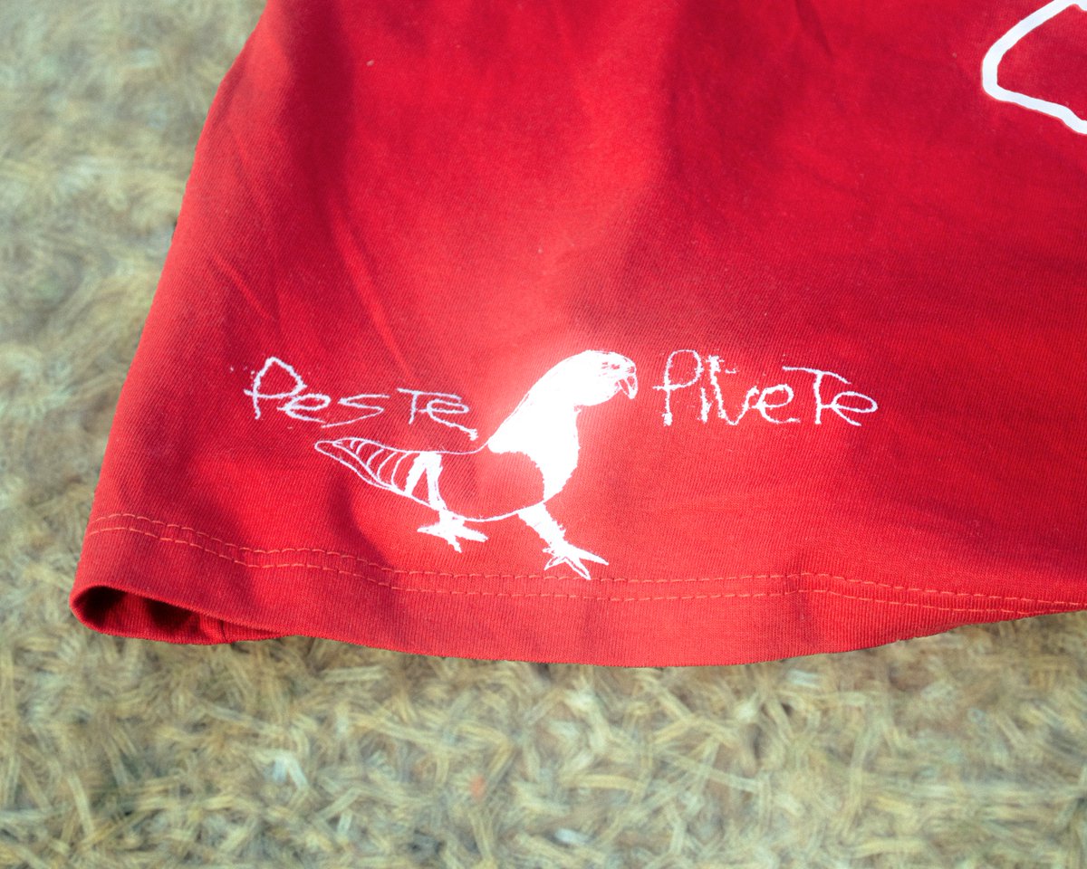 pestepivete tweet media