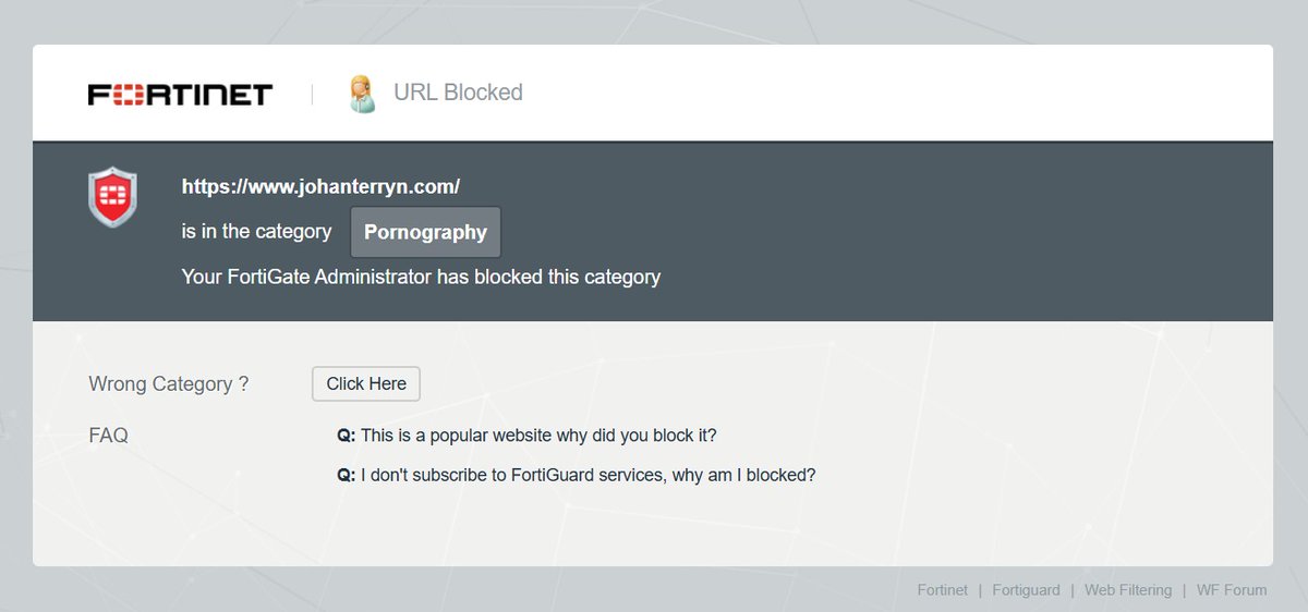 Mijn website werd blijkbaar beschouwd als 'pornography'. Check gerust zelf: johanterryn.com en veel plezier!