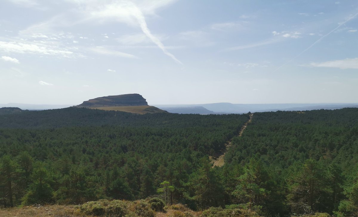 Zaratustra_300_'s tweet image. 🟡 And now, once again, I asked myself the question: Do I love her? And once again I didn't know how to answer, or rather, once again—for the hundredth time—I answered that I hated her.
➡️ Dostoievsky. The Gambler.
#Again #Myself #Question #Love #DidntKnow #Answer #Hated